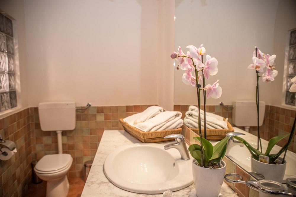 Palazzo Cosentino Bed & Breakfast Калтанисета Екстериор снимка